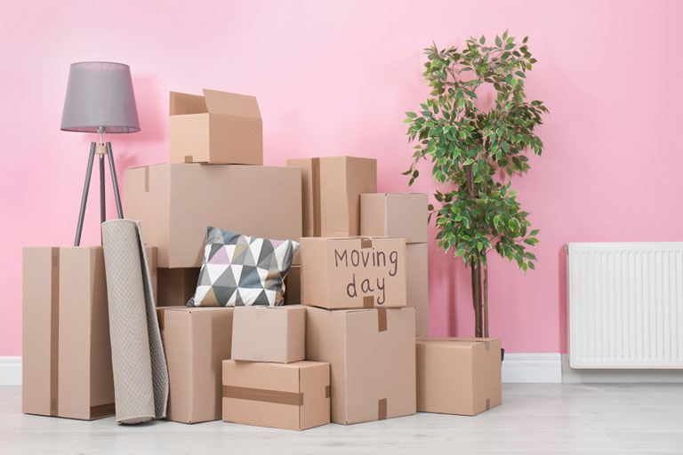 Household Shifting Newtown